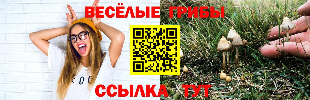 Псилоцибиновые грибы мицелий Шадринск