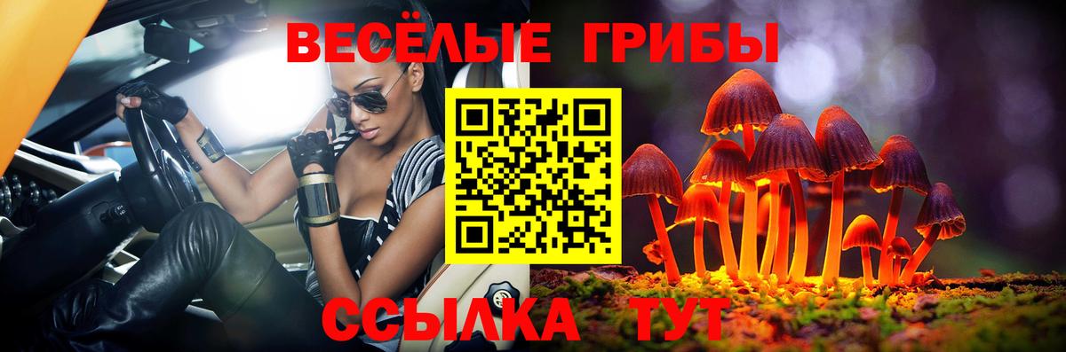 Псилоцибиновые грибы Cubensis  Галлюциногенные грибы MAGIC MUSHROOMS  цены наркотик  Шадринск  Вход с VPN 
